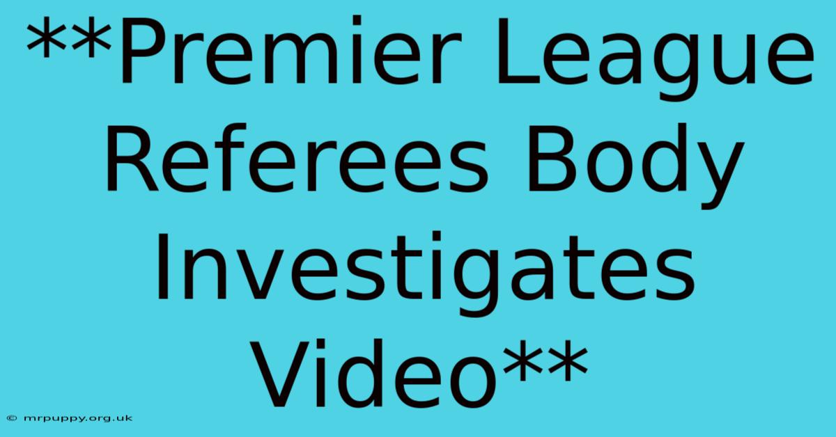 **Premier League Referees Body Investigates Video**