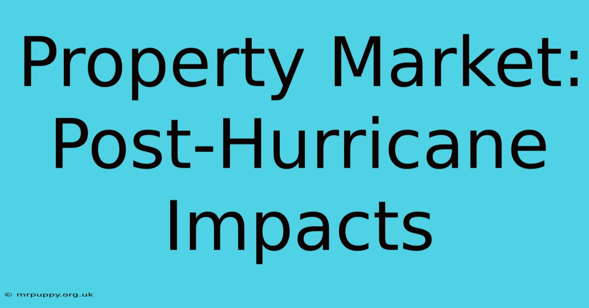 Property Market: Post-Hurricane Impacts