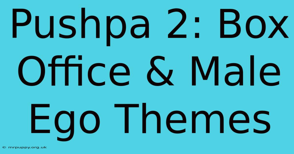 Pushpa 2: Box Office & Male Ego Themes