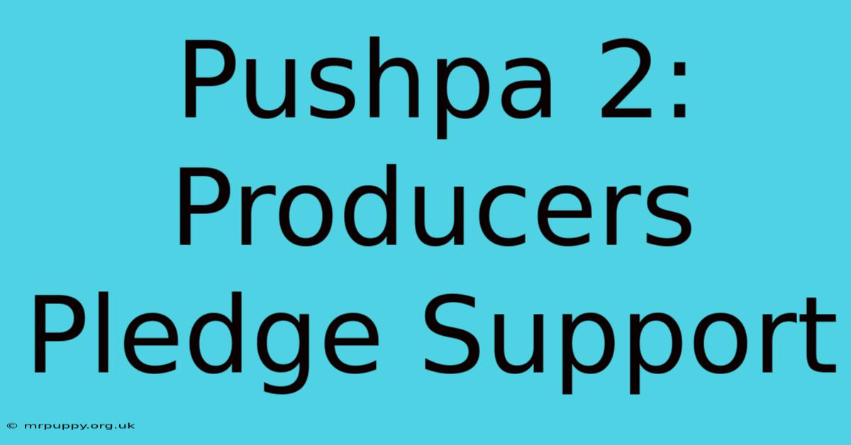 Pushpa 2: Producers Pledge Support