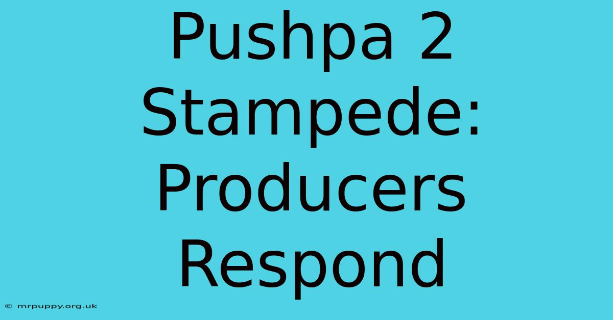 Pushpa 2 Stampede: Producers Respond