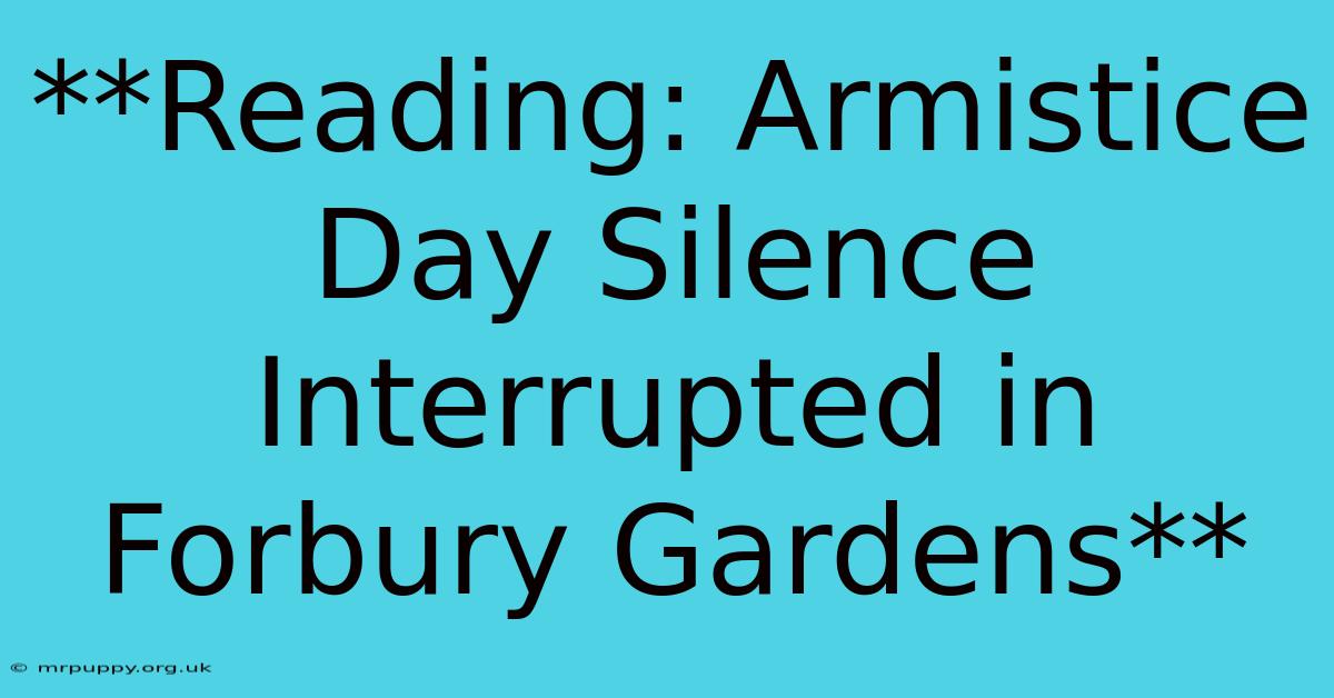 **Reading: Armistice Day Silence Interrupted In Forbury Gardens** 