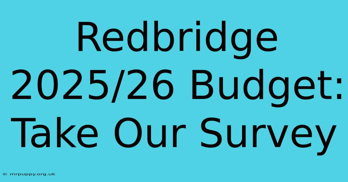 Redbridge 2025/26 Budget: Take Our Survey