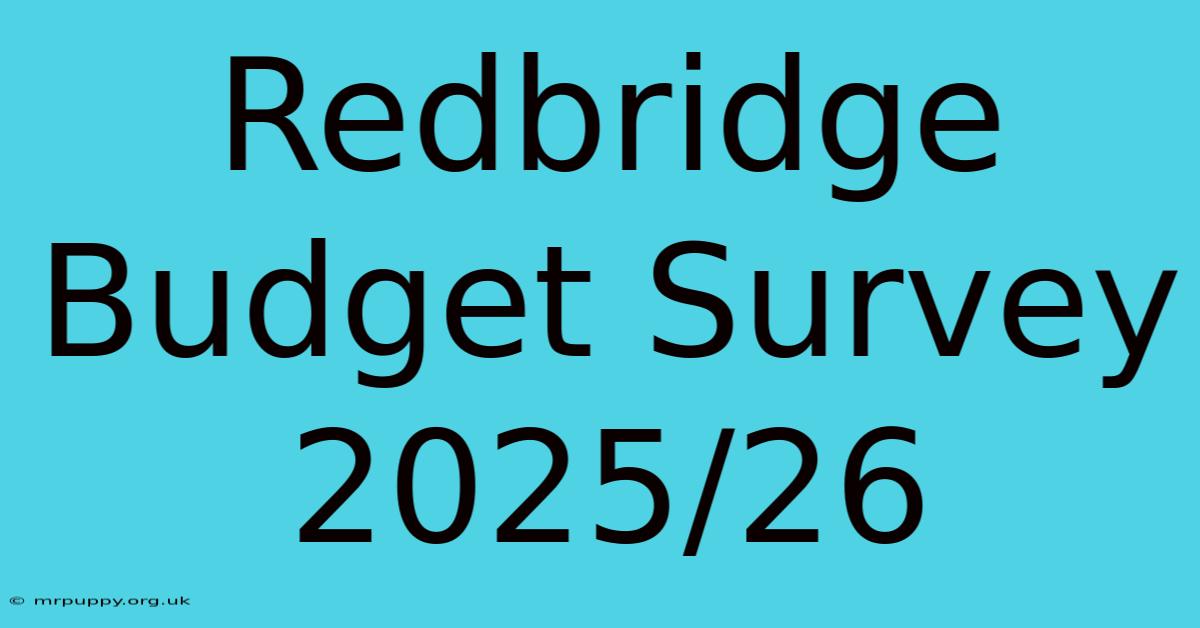 Redbridge Budget Survey 2025/26