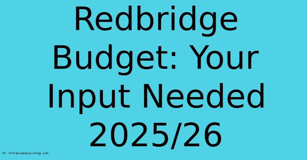 Redbridge Budget: Your Input Needed 2025/26