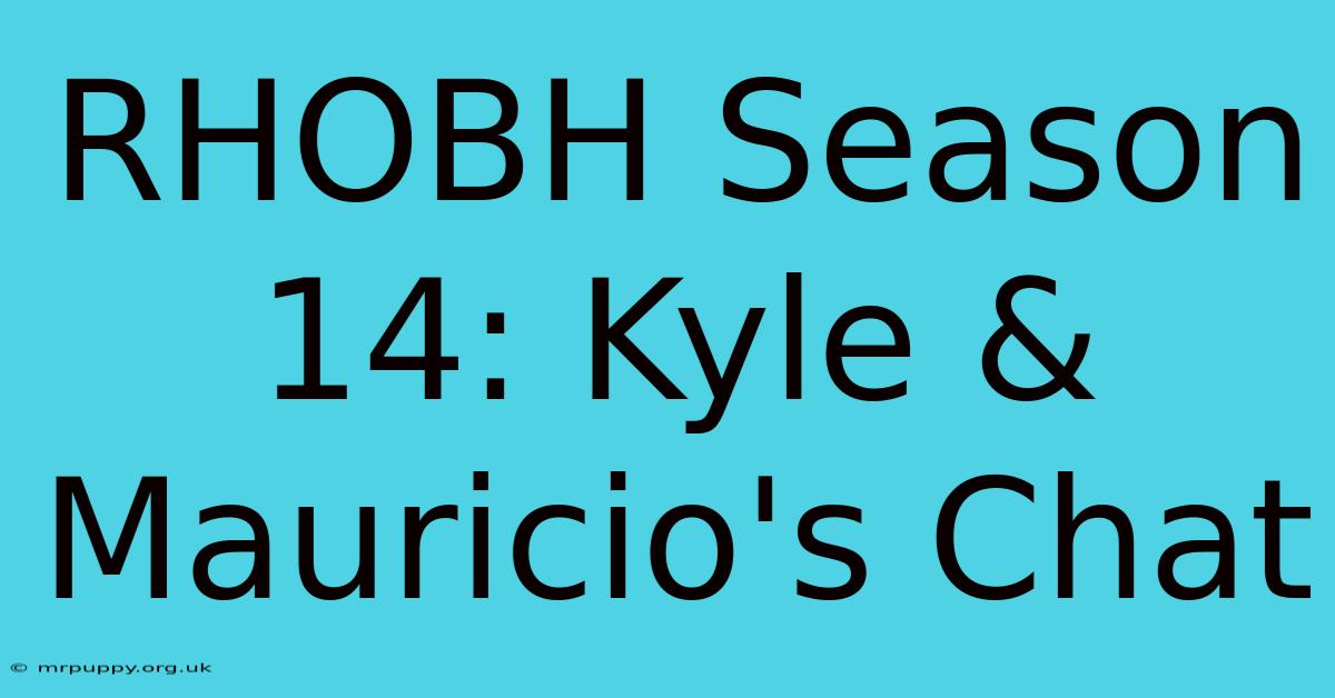 RHOBH Season 14: Kyle & Mauricio's Chat