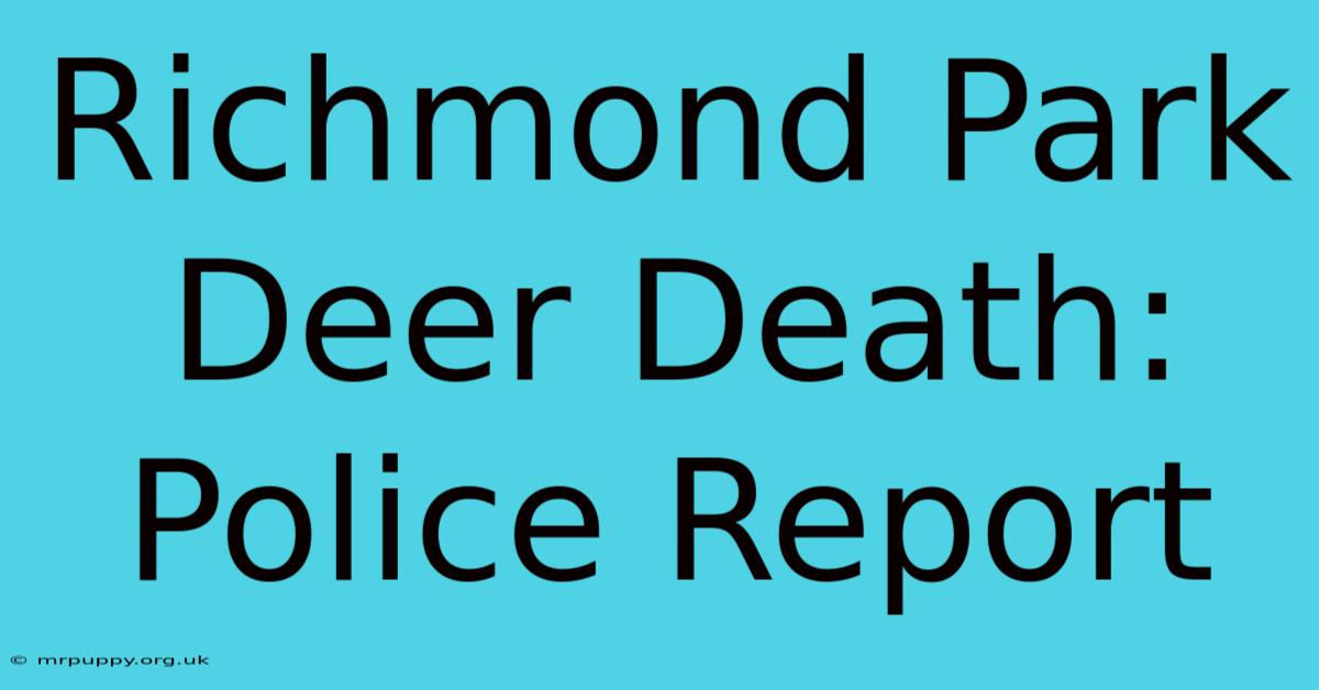 Richmond Park Deer Death: Police Report