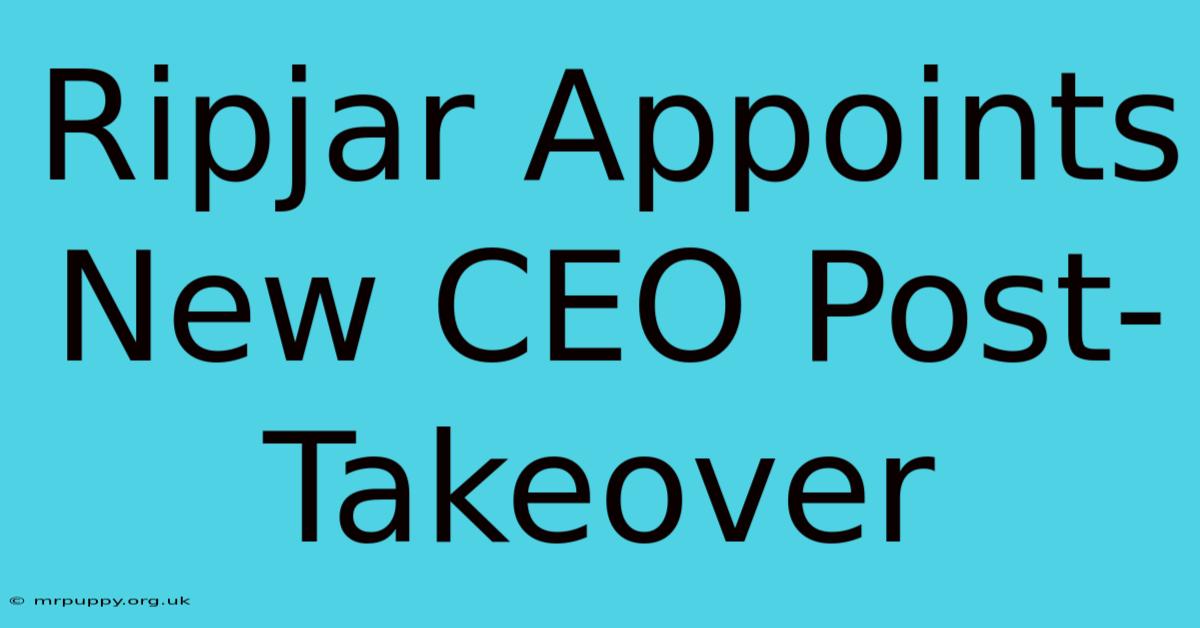 Ripjar Appoints New CEO Post-Takeover 