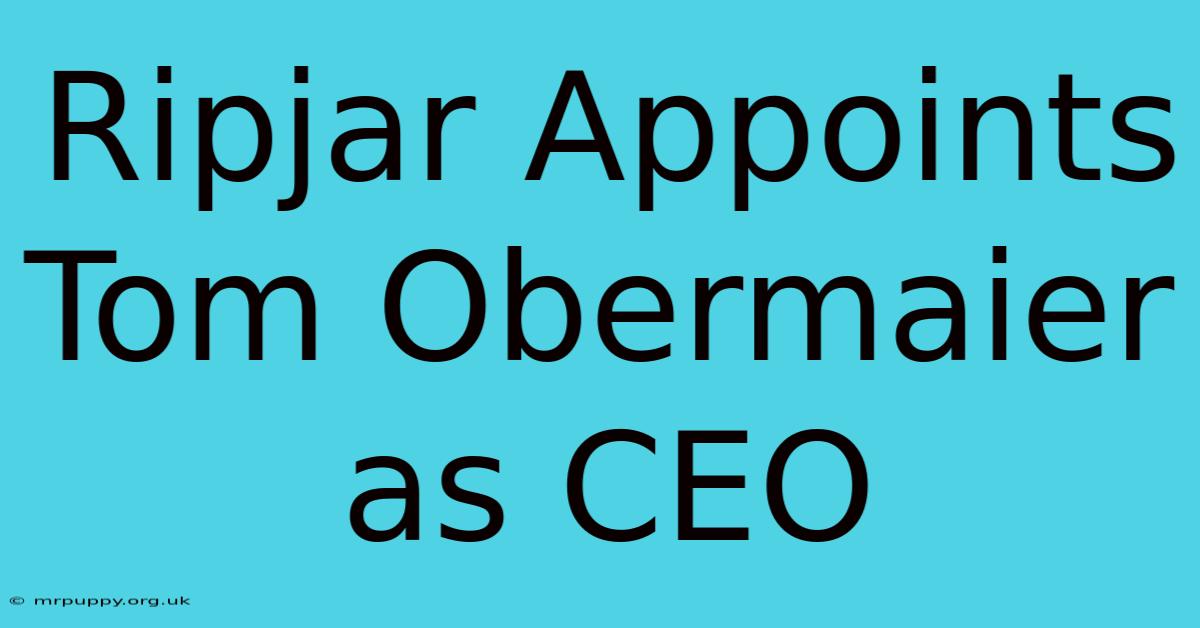 Ripjar Appoints Tom Obermaier As CEO 