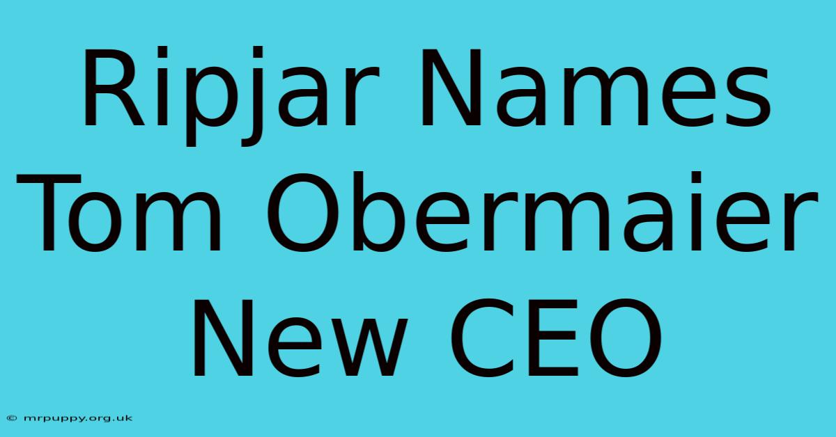 Ripjar Names Tom Obermaier New CEO