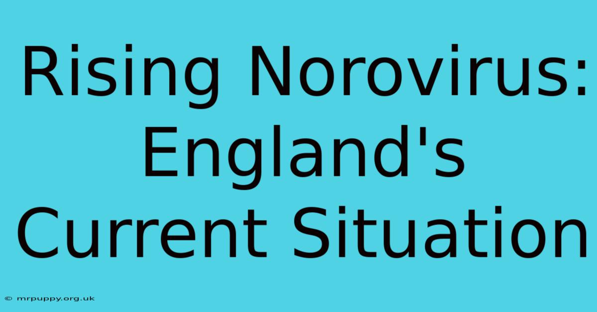 Rising Norovirus: England's Current Situation