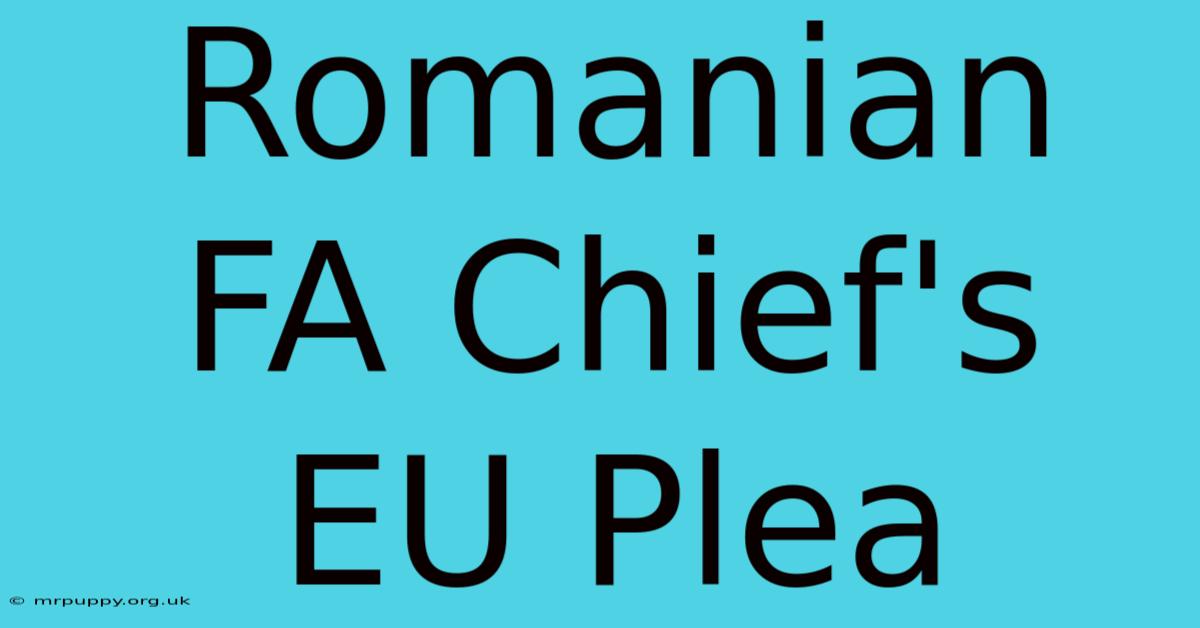 Romanian FA Chief's EU Plea