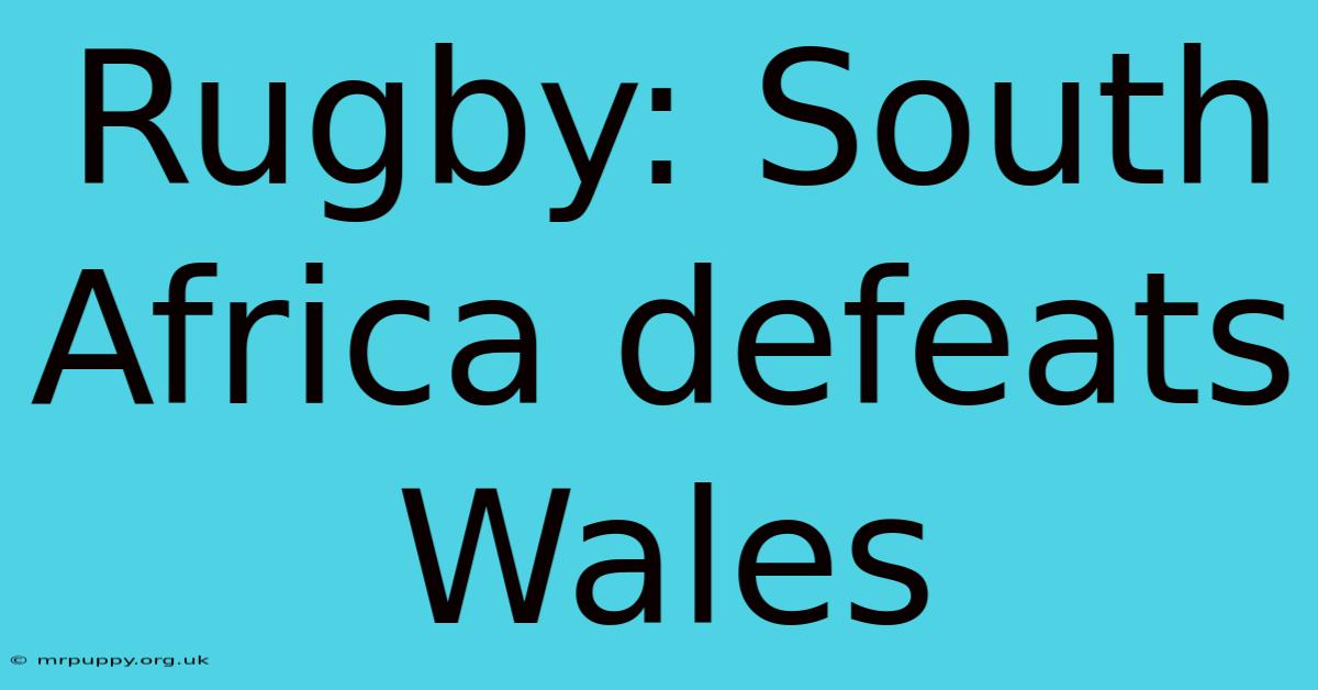 Rugby: South Africa Defeats Wales