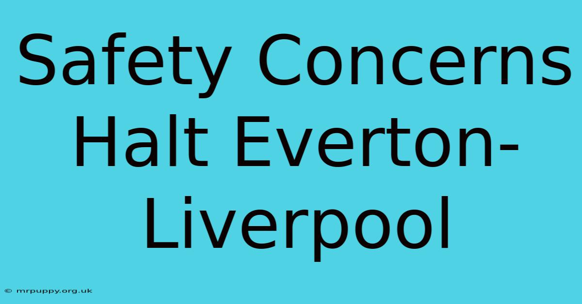 Safety Concerns Halt Everton-Liverpool