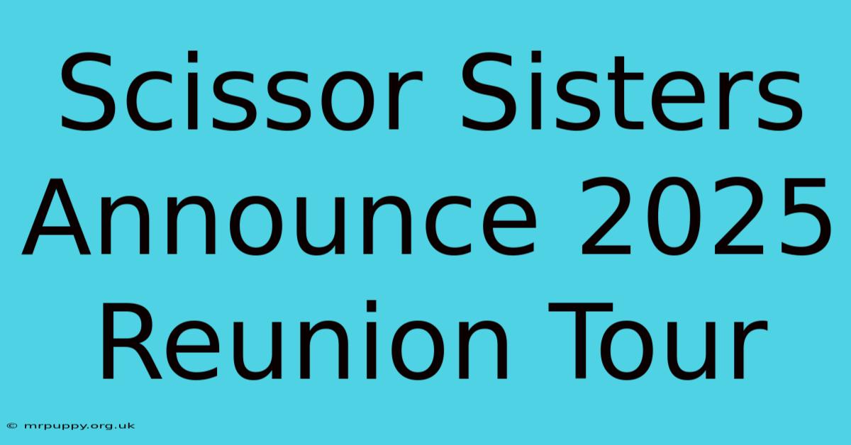 Scissor Sisters Announce 2025 Reunion Tour