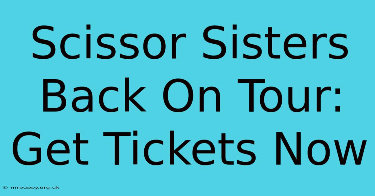 Scissor Sisters Back On Tour: Get Tickets Now