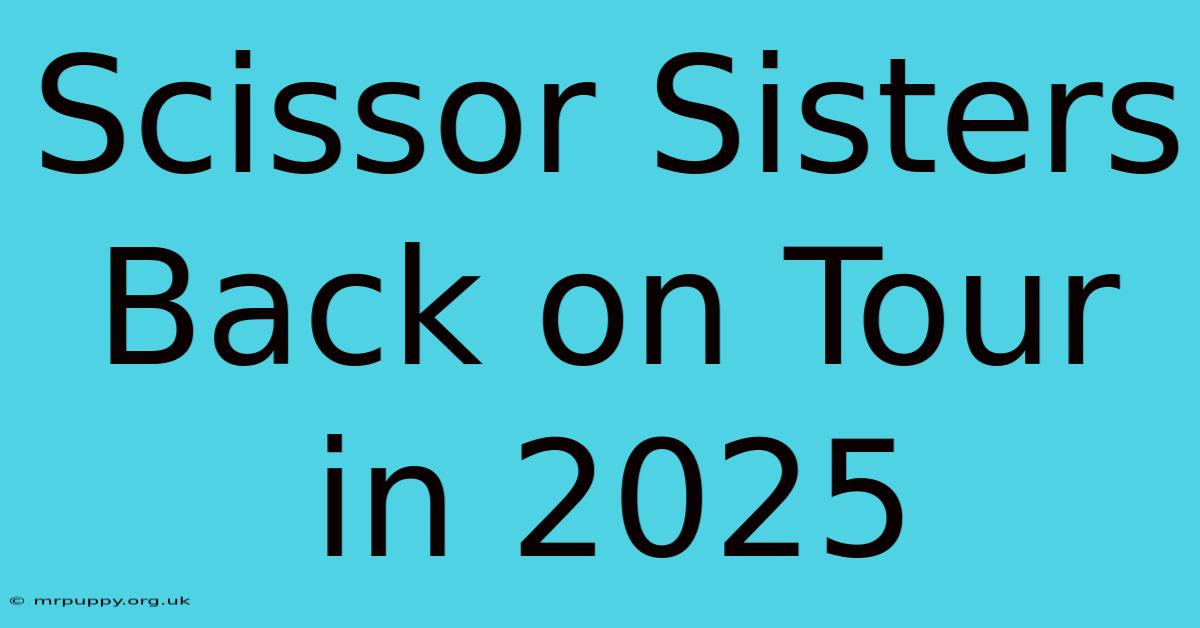 Scissor Sisters Back On Tour In 2025