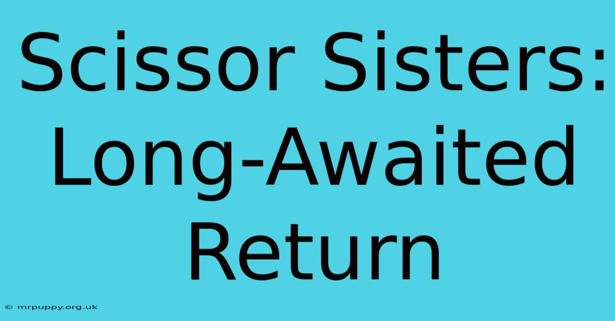 Scissor Sisters: Long-Awaited Return