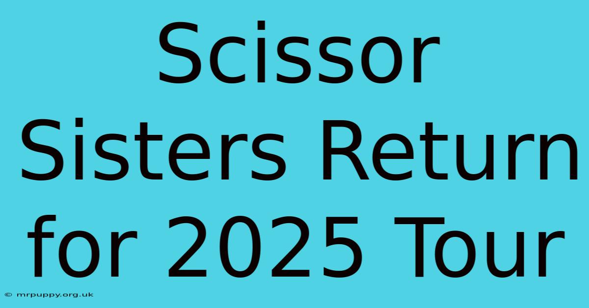 Scissor Sisters Return For 2025 Tour 