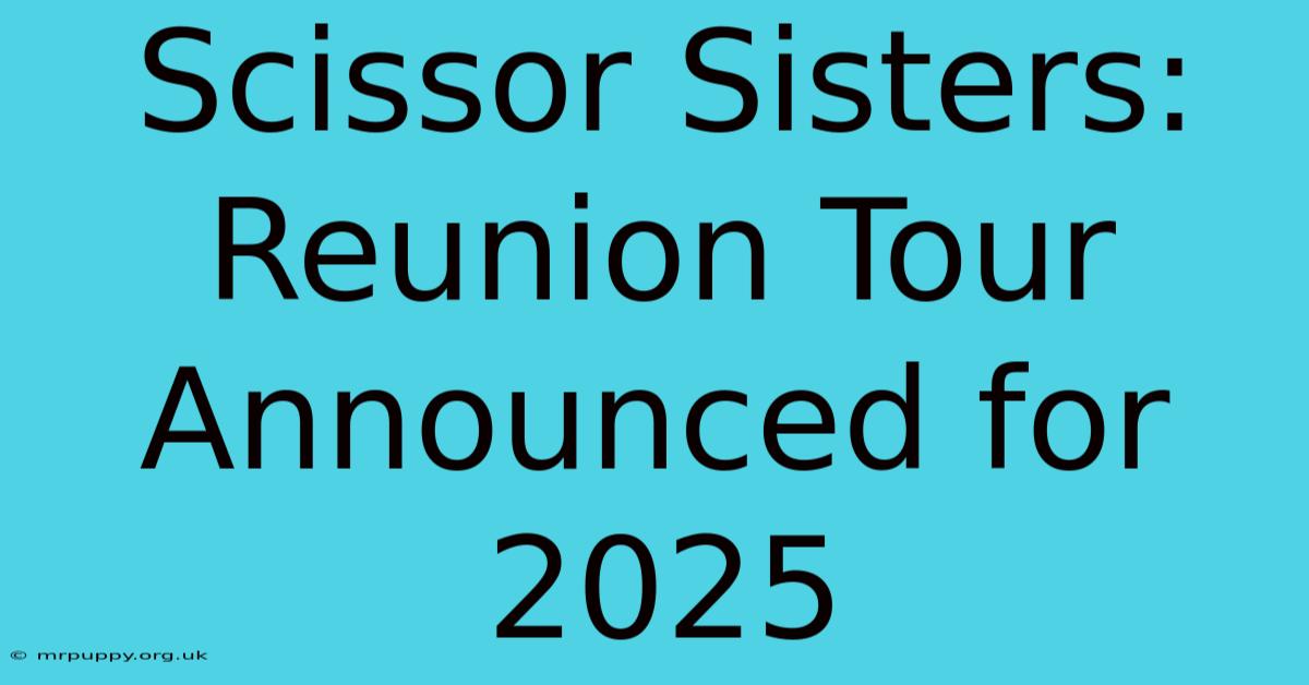 Scissor Sisters: Reunion Tour Announced For 2025 