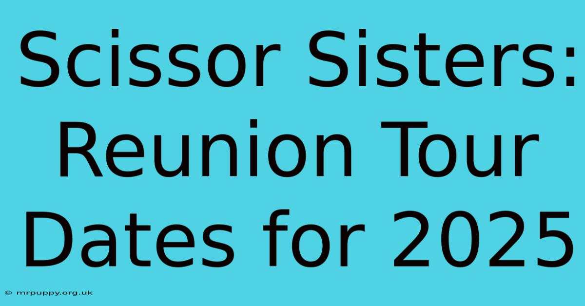 Scissor Sisters: Reunion Tour Dates For 2025