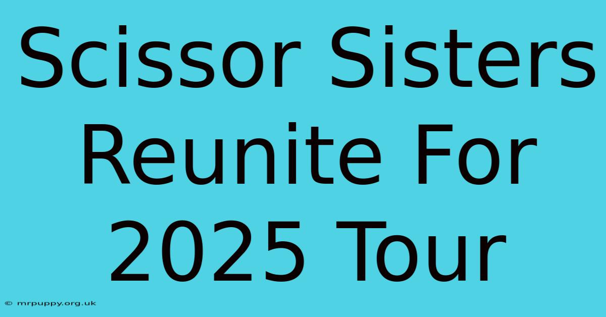 Scissor Sisters Reunite For 2025 Tour