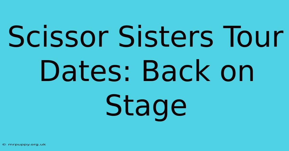 Scissor Sisters Tour Dates: Back On Stage