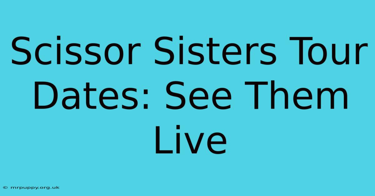 Scissor Sisters Tour Dates: See Them Live