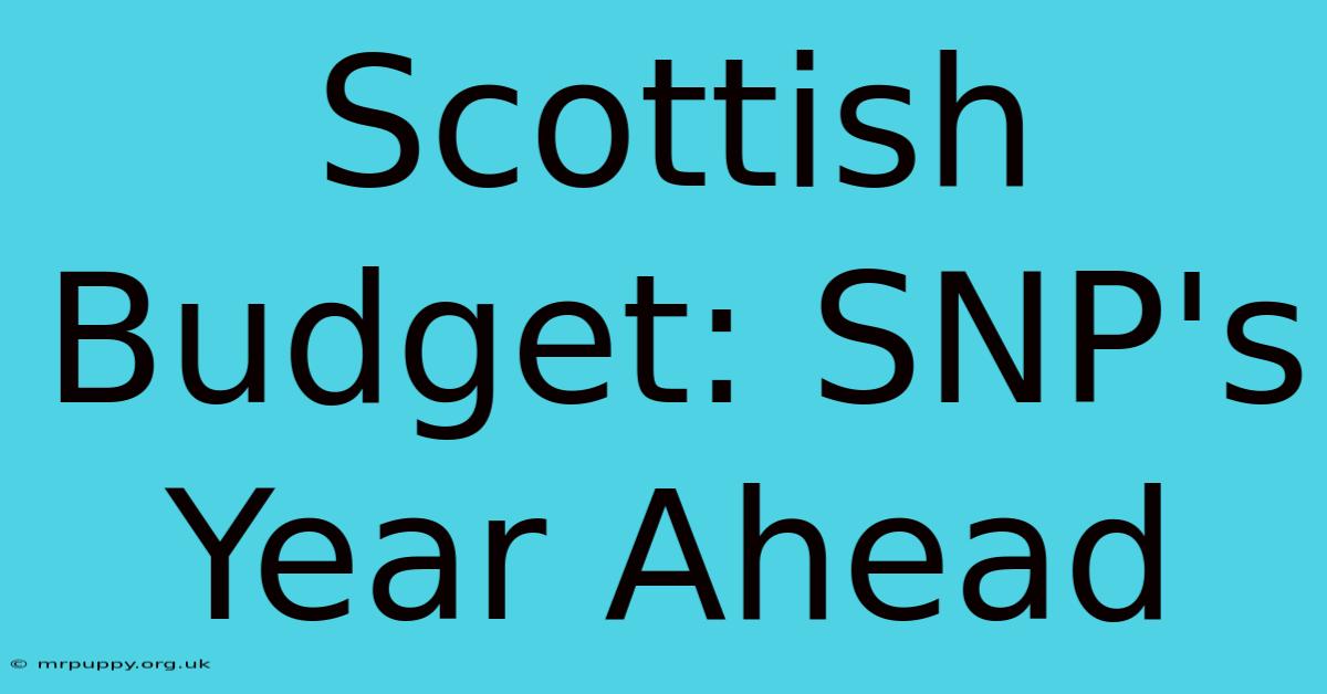 Scottish Budget: SNP's Year Ahead