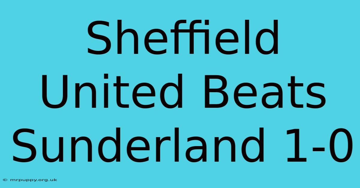 Sheffield United Beats Sunderland 1-0