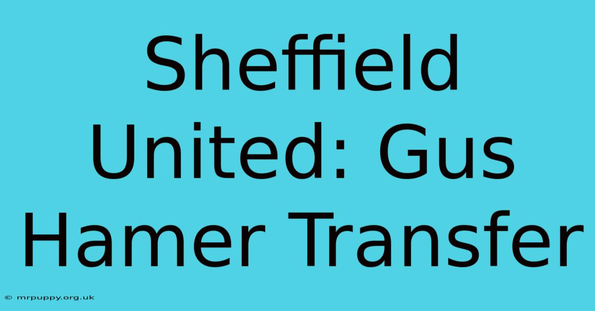 Sheffield United: Gus Hamer Transfer