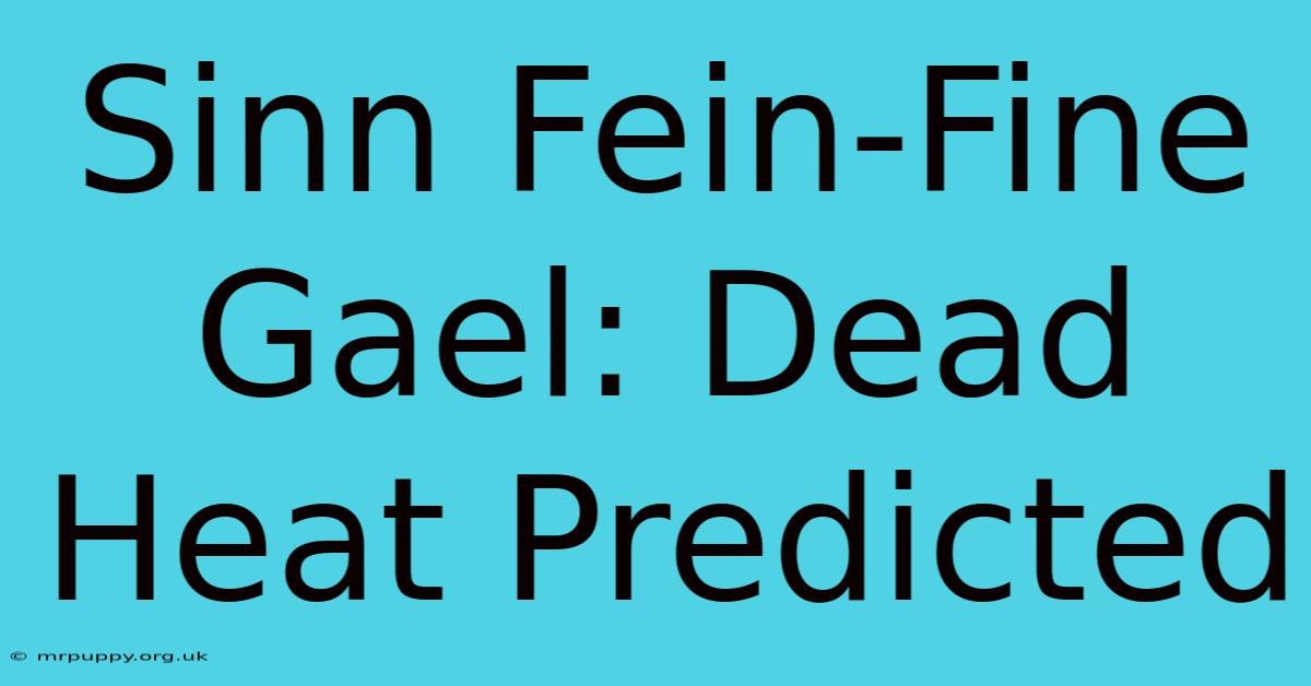 Sinn Fein-Fine Gael: Dead Heat Predicted