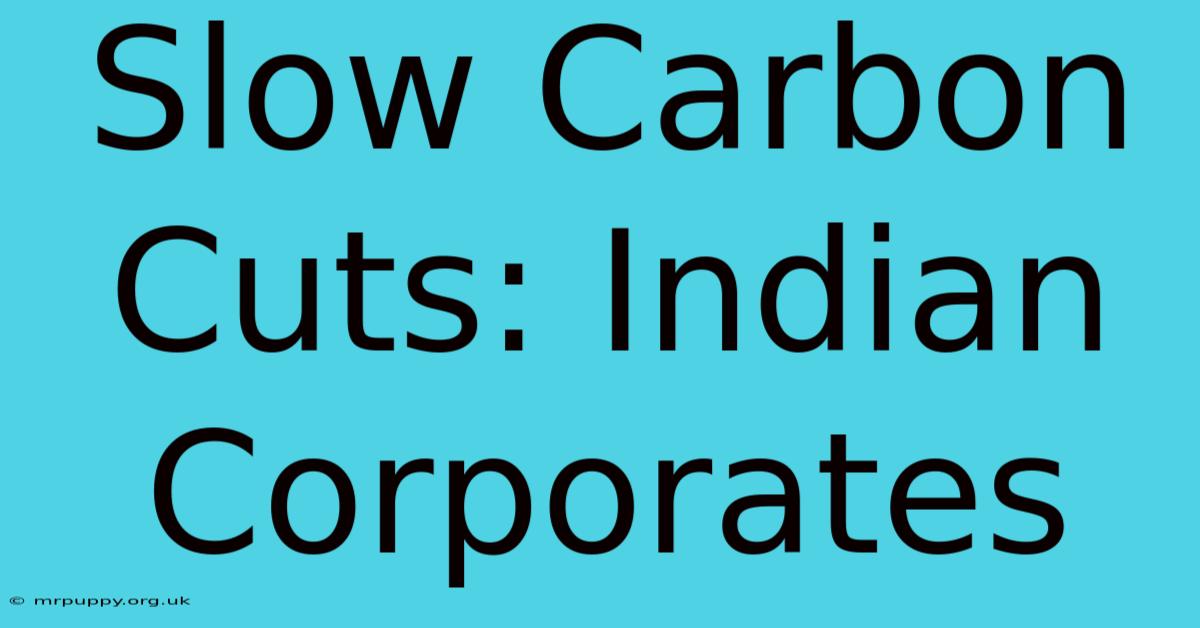 Slow Carbon Cuts: Indian Corporates