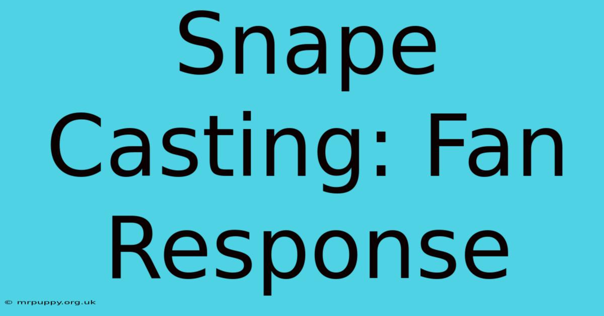 Snape Casting: Fan Response