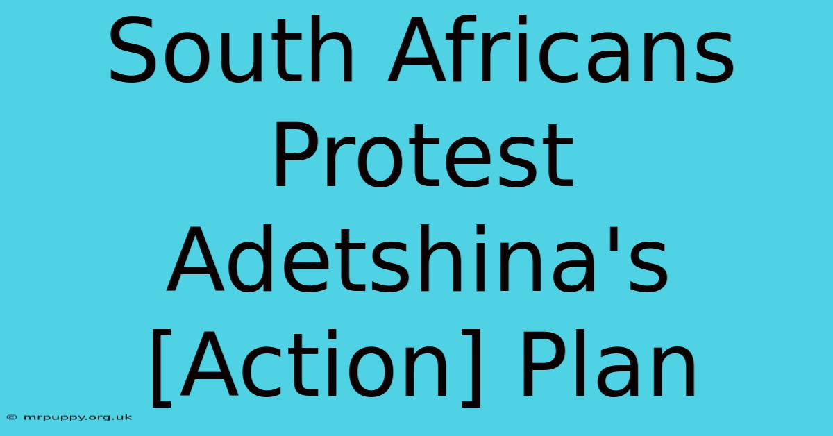 South Africans Protest Adetshina's [Action] Plan 