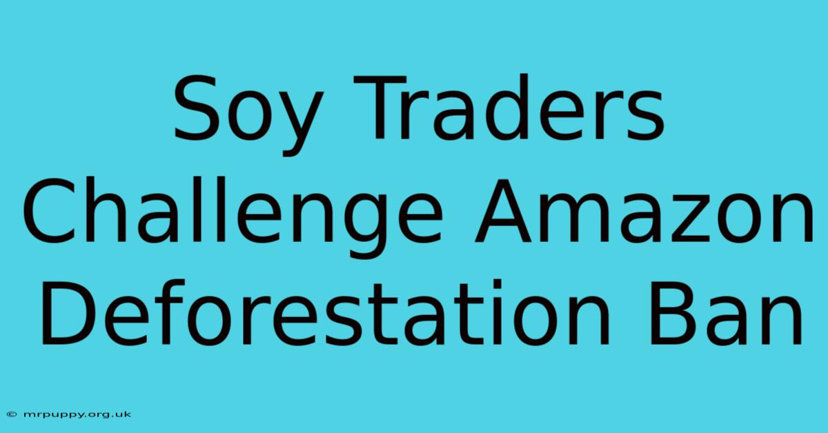 Soy Traders Challenge Amazon Deforestation Ban