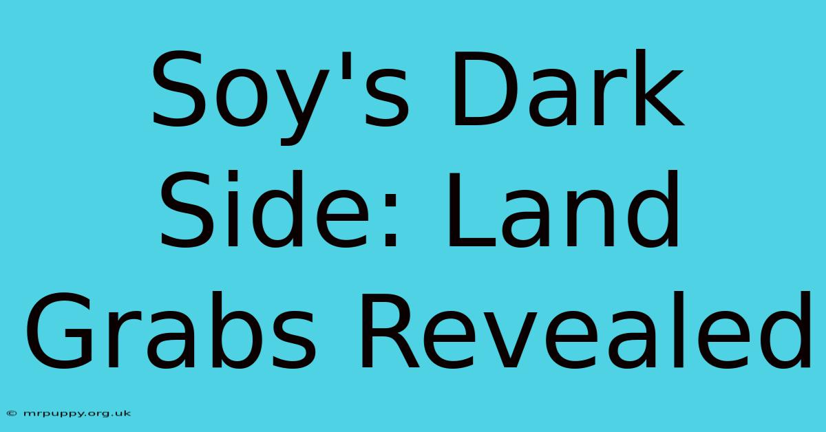 Soy's Dark Side: Land Grabs Revealed