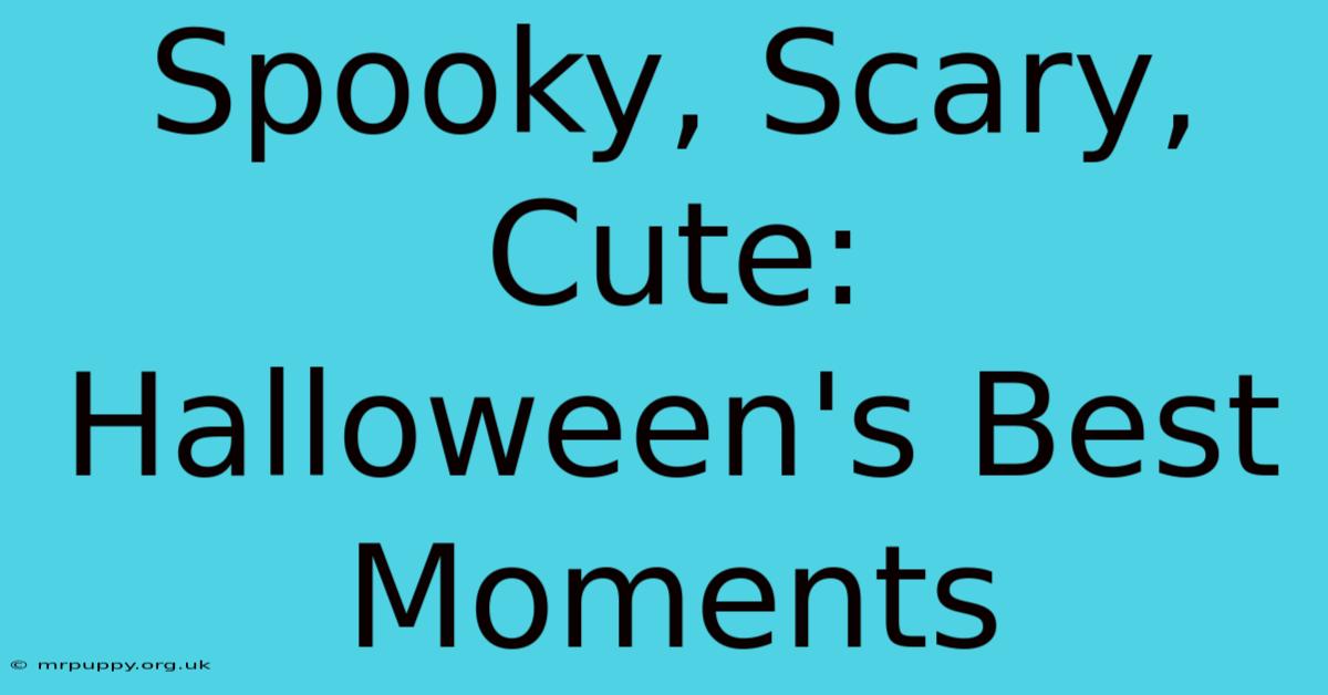 Spooky, Scary, Cute: Halloween's Best Moments