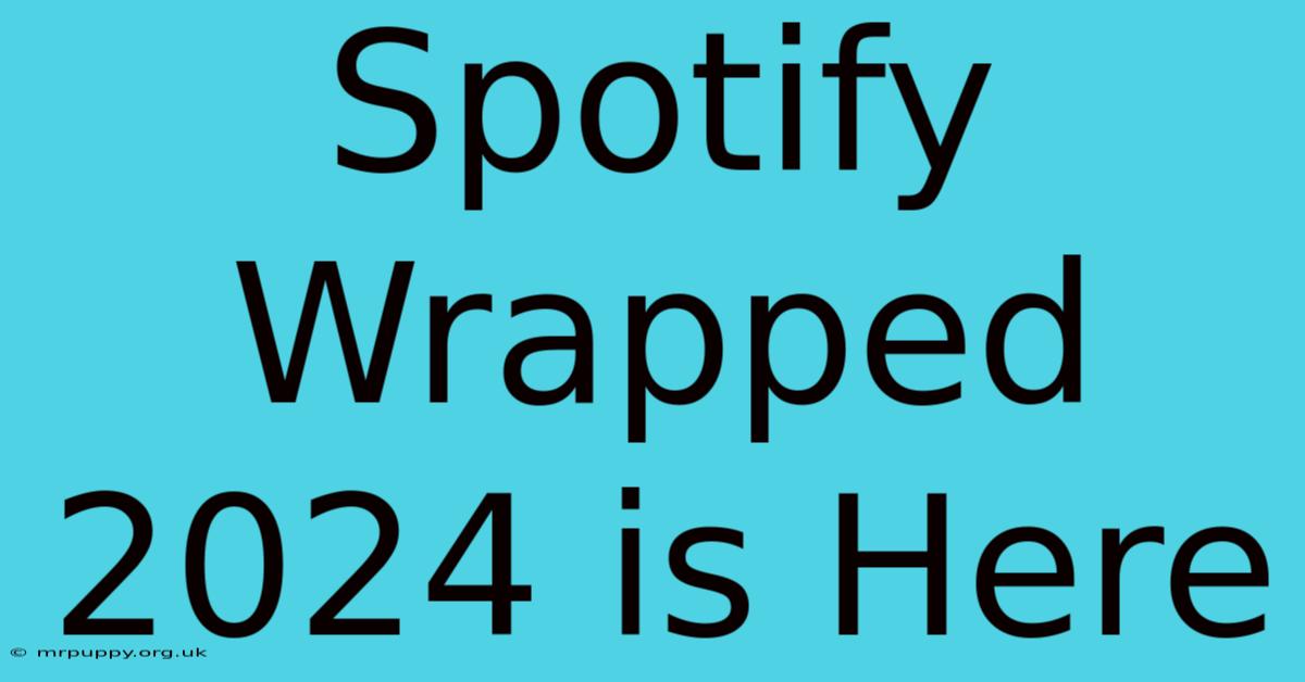 Spotify Wrapped 2024 Is Here