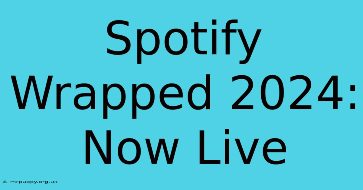 Spotify Wrapped 2024: Now Live