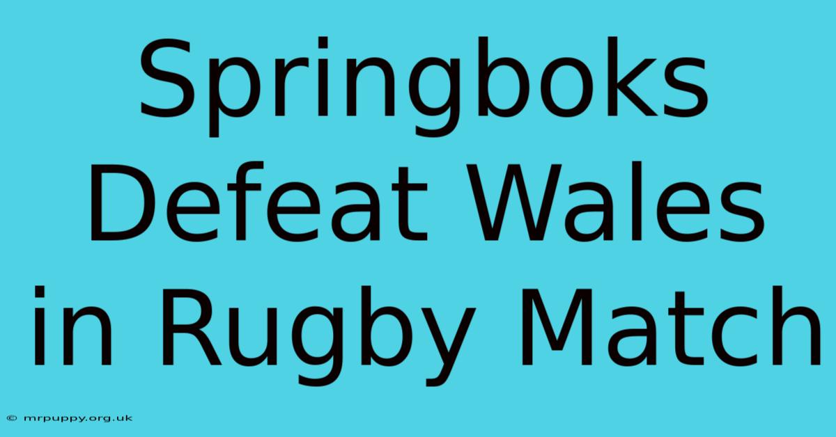 Springboks Defeat Wales In Rugby Match