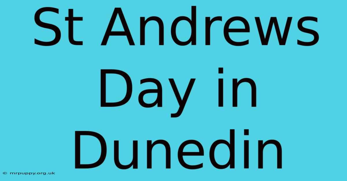 St Andrews Day In Dunedin