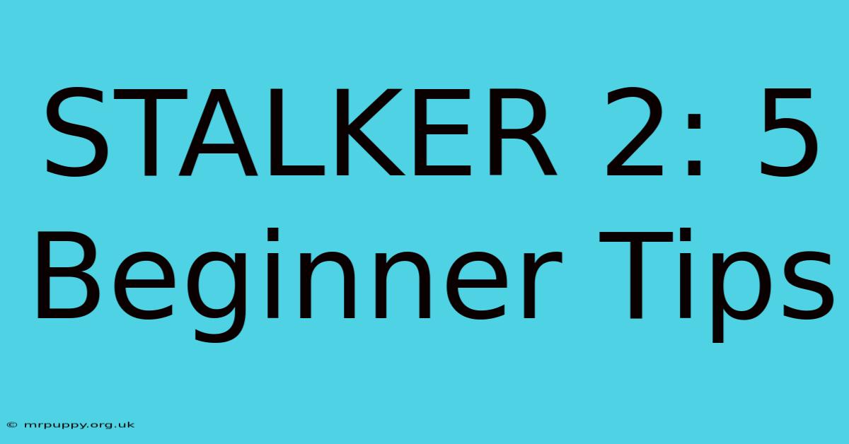 STALKER 2: 5 Beginner Tips