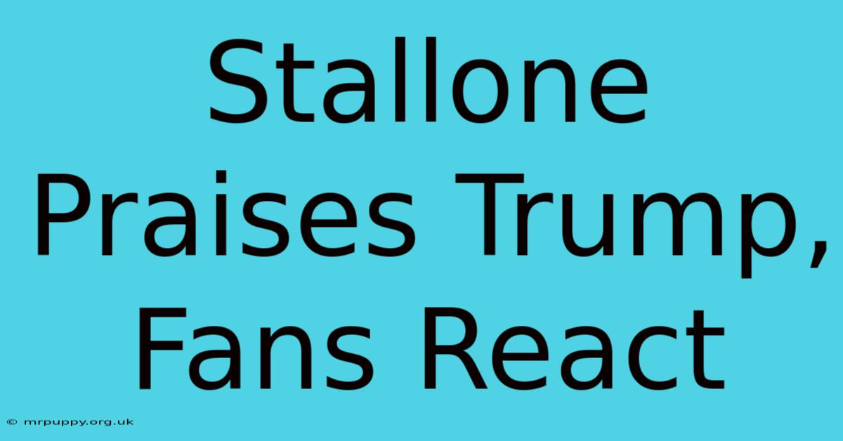 Stallone Praises Trump, Fans React