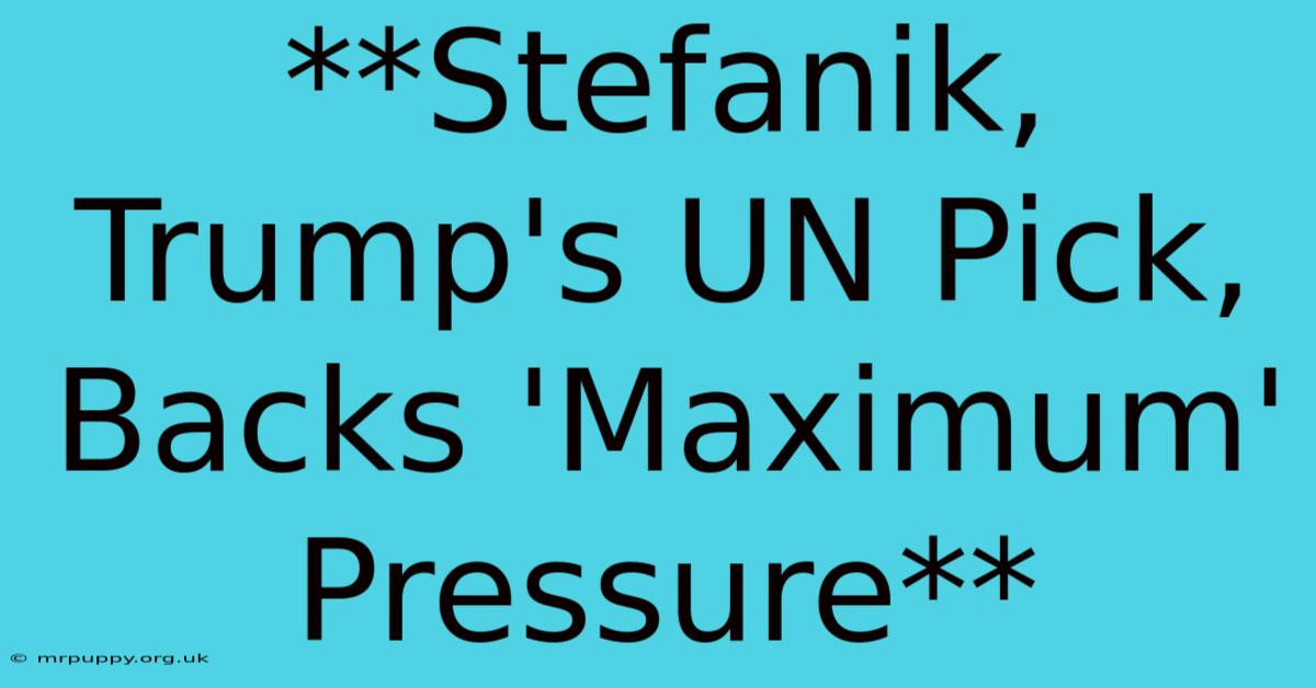 **Stefanik, Trump's UN Pick, Backs 'Maximum' Pressure**