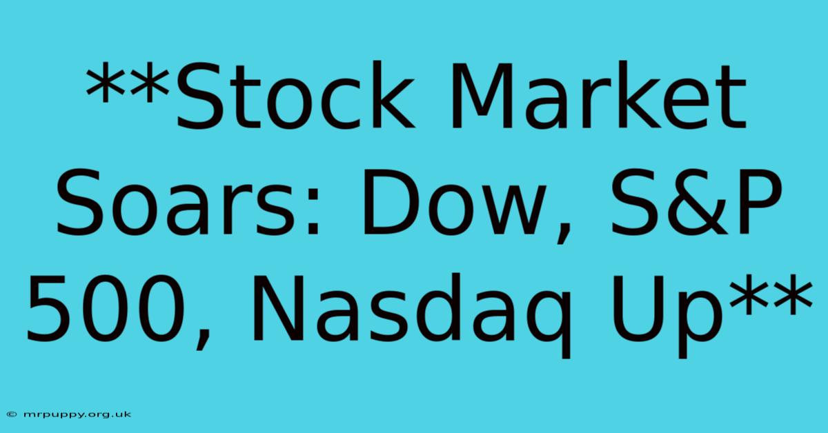 **Stock Market Soars: Dow, S&P 500, Nasdaq Up**