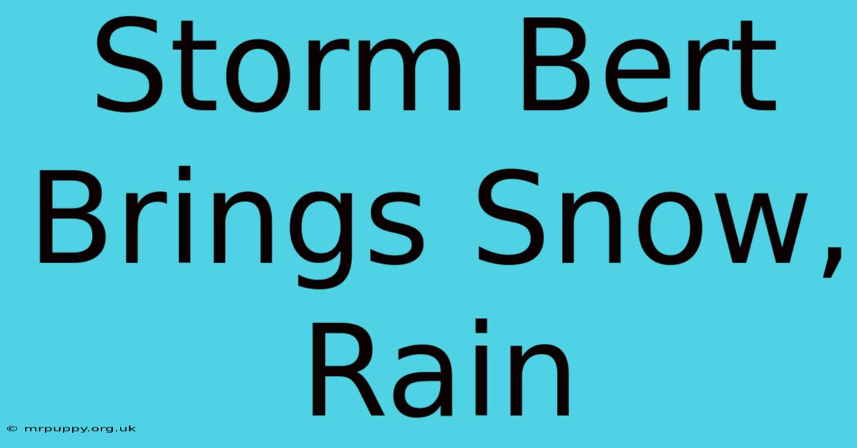 Storm Bert Brings Snow, Rain