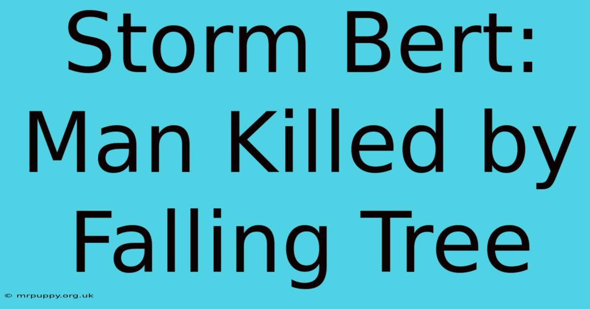 Storm Bert: Man Killed By Falling Tree