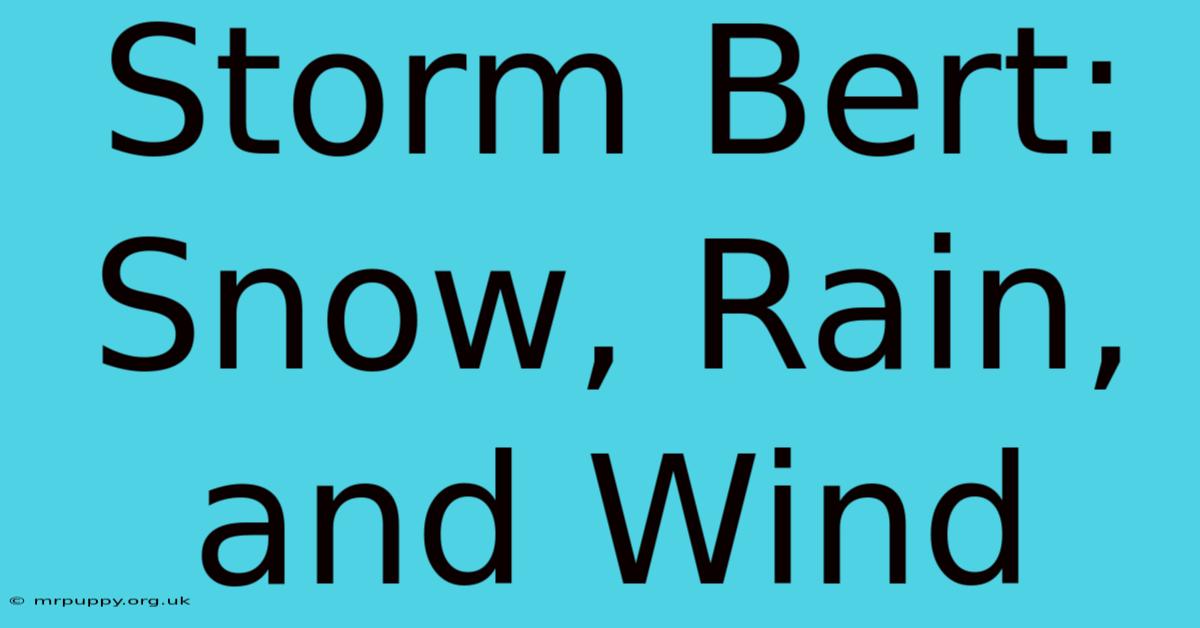 Storm Bert: Snow, Rain, And Wind