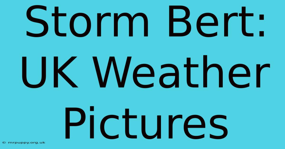 Storm Bert: UK Weather Pictures